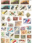 Collection Of Old Egyptian Stamps Show Kings Farouk  Fouad  And United Arab Rep 