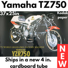 Yamaha Yzr750 Tz750 1979 World Grand Prix Factory Poster 37x25 Kodak Photo Print