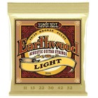Ernie Ball Guitar Strap Acoustic Strings Earthwood Light 80 20 2004 Polypro