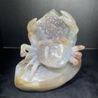 2 5lb 6  geode Agate Crab Crystal Quartz Carving Gift