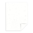 Astrobrights Colored Cardstock  8 5    X 11     65 Lb 176 Gsm  Stardust White  multi
