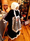 Vacuum Cleaner Cover Soft Sculpture Farmhouse Black White Buffalo Check Apron