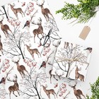 Beautiful Deer  Holiday  Wrapping Paper