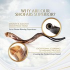 Shofar Kudu Horn Instrument M 28 -31  Natural From Israel Half Polished natural