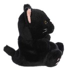 Aurora Halloween Palm Pals - 4 5  Twilight Black Cat