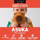Fao Schwarz 22  Adopt-a-pets Capybara Plush Stuffed Animal For Kids