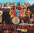 Beatles Framed Cherry Wood Reproduction Signature Lp Record Display   m4 