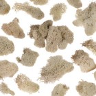 Natural Reindeer Moss Freshly Harvested Quart Bag Stuffed Full-ships Free   