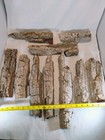 10pcs Assorted Cottonwood Bark Carving Wood B1