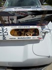 Venom King Of Shaves Electric Rc Boat Missing Original Top