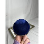Rare Vintage Silver Cobalt Blue Velvet Mushroom Pin Cushion