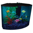 5 Gallon Small Fish Tank Aquarium Kit With Led Light And Filter