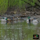 Avery Ghg Pro-grade Mallard Decoy - Harvester Pack W  Flocked Heads