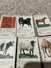 Trademark Coca Cola Trading Cards The World Of Nature Series  2 1-8   11