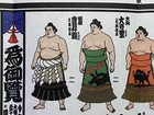 Sumo Pictorial Banzuke 2025 Natsu  may  Basho   Onosato  Hoshoryu