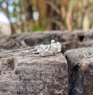 Hawaiian Sterling 925 Silver Plumeria Turtle Silver Engraved Scrolling Toe Ring