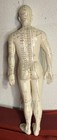 Acupuncture Male Model 19  Human Acupoint Doll Chinese Medicine Learning Dummy