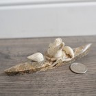 Vintage Canadian Eskimo Inuit Carved Stone Kayak Hunter  By J  Ayek  2