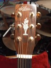 1973 Aria 9400  Japanese Dreadnought Martin D 18 Clone Lawsuit Era  white Label 