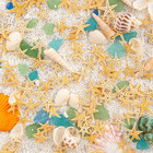 Qeqekaka 100 Pcs Starfish For Crafts 0 4  To 1  Natural Small Starfish Decor 