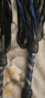 Flogger Made By Leathersmith Originally Paid Almost  400 For Them 