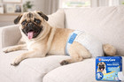 Honeycare All-absorb Disposable Male Dog Wraps  Small  12 To 19-in Waist  50 Cou