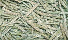 Sweet Grass Braids 4-5  Bulk For Positive Energy Smudging And Cleansing