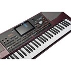 Korg Pa1000 61-key Professional Arranger Keyboard Outlet New In Soft Case Japan