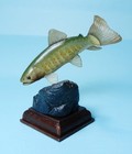 Kitan Club Nature Techni Colour Clear Streams In Japan Japanese Char Fish New