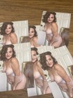 Pinup Girl 4x6 Glossy Photo Beautiful Woman Nude Brunette Risqu   Model