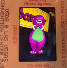 Barney The Dinosaur On The Red Carpet Orig photos 35mm Slide Transparency 802