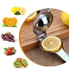 Lemon Squeezer Stainless Steel Manual Citrus Press Juicer Heavy Duty Rustproof