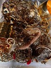 6 7 Lb  Wearable Metal Jewelry Lot Silver Tone Gold Tone Good For Resale