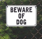  beware Of Dog  10  X 7  Warning Signs  4 Sign Set  Heavyweight Aluminum