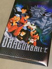 Dragon Ball Z Poster Holo Foil Vtg 1999 Dbz Broly Goku Ur Rare 34  X 22  New
