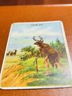 1910 Indian Life In The 1860 s Hassan Cigarette Tobacco Card