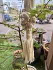 Vintage Cream Macrame Plant Hanger 52    Large Beaded Boho Hanging Planter Holder