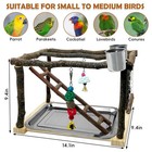 Parrots Playstand Bird Play Gym Cockatiel Playground Wood Perch Stand Climb S   