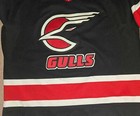 San Diego Gulls 1991 92 Game Worn Used Hockey Jersey