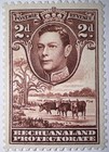 Travelstamps  1938 Bechuanaland Protectorate  127  Cattle  2d Mint  Og Mogh
