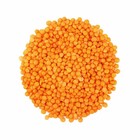Whole Red Lentils Masoor Dal Unsplit Sproutable Legume Curries 1 5lb-5lb