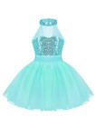 Brand New Iefiel Blue Dance Dress-up Tutu Costume Girls Size 10 12  2xl 