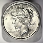 Roll Of 20 Bu Peace Silver Dollars - Random Dates