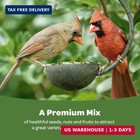 Kaytee Ultimate Birder s Blend Food  Wild Bird Seed  10 Pounds