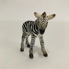 Schleich Baby Zebra Animal Wildlife Figure D-73527 Toy Educational Safari