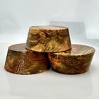 3 Spalted Maple Bowl Blanks  6   x2 5     Wood Lathe Turning Stock  Bulk Listing