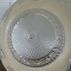 Vintage 14  Art Deco Frosted Glass Floral Ceiling Light Fixture Lamp Shade