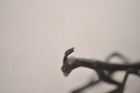 Japanese Antique Jizai Okimono Netuke Insect Praying Mantis Metal From Japan