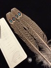 Peacock Pheasant Double Eye Tail Feathers  110