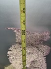 2 Coral Lot - Natural Sea Fan - Coral - Sea Whip -gorgonia Coral Tree Large 